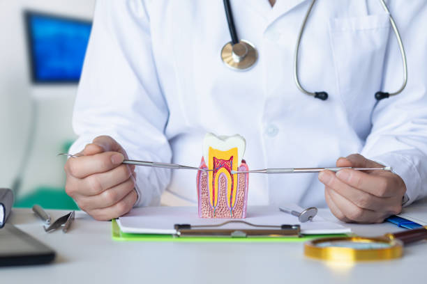 Best Mobile Emergency Dentist in Vilonia, AR